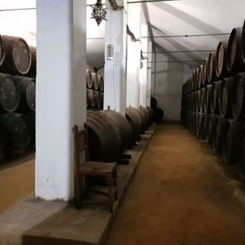 Bodegas Herederos Ángel Lara Carmona interior de bodega de vino