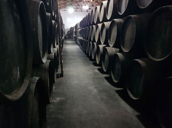 Bodegas Herederos Ángel Lara Carmona bodega para almacenar vinos